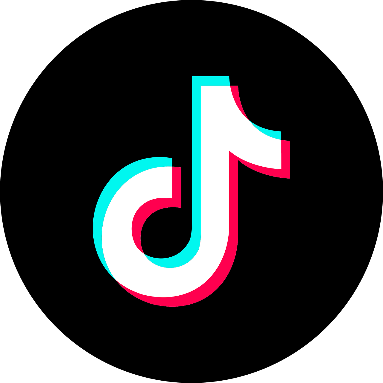 Tiktok icon