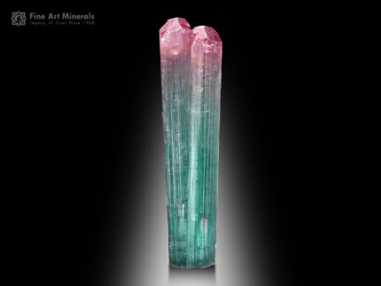 Twinned Pink Cap Tourmaline from Afghanistan