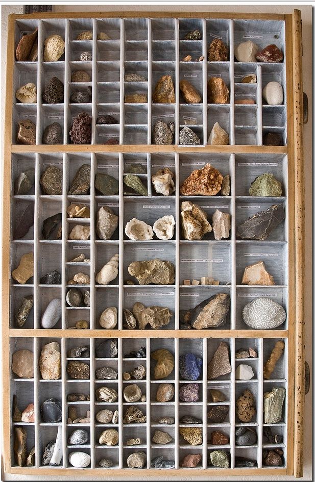 Display Case For Rocks