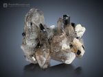 Floater Smoky Quartz with Schorl, Mica and Albite Photo