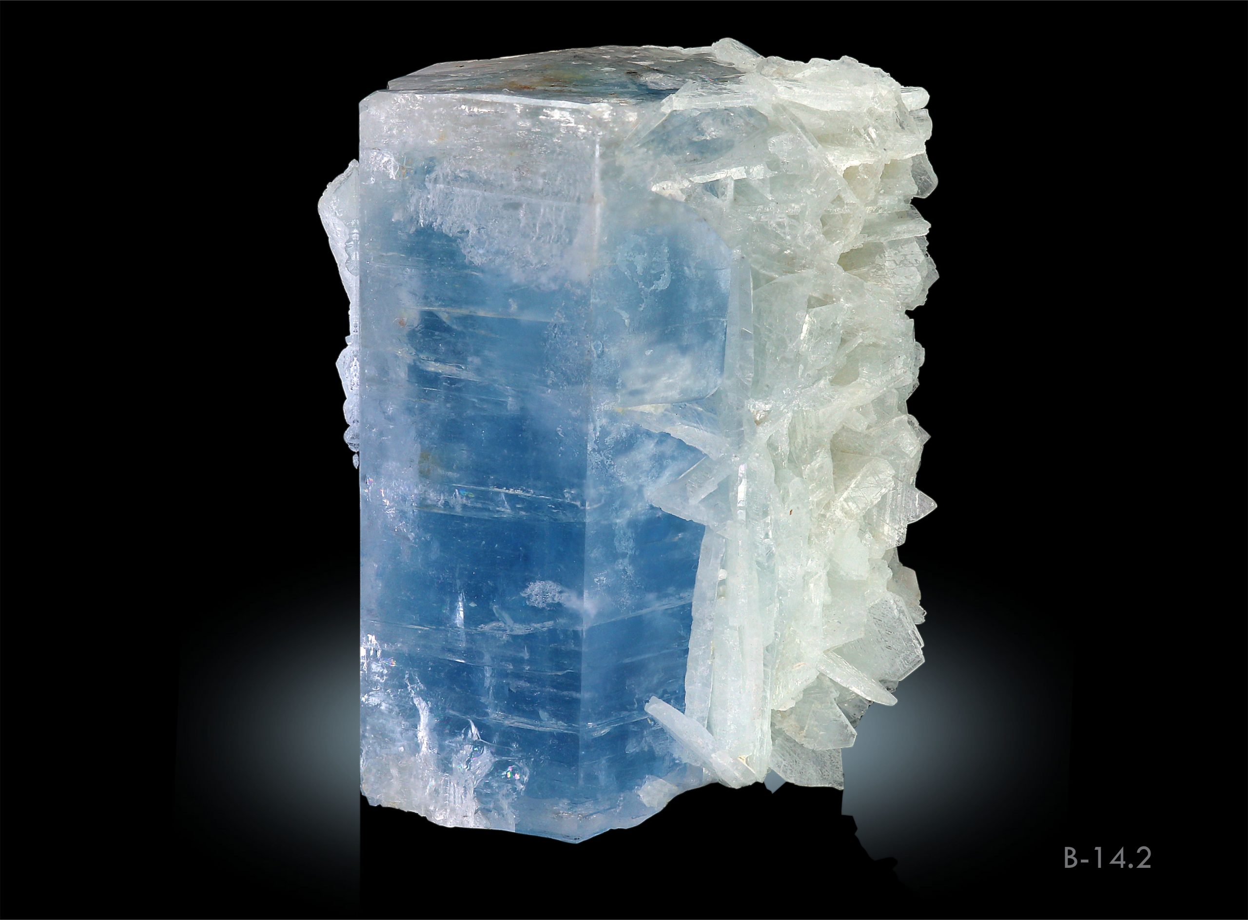 Agua Crystal 10oz - MercaSID