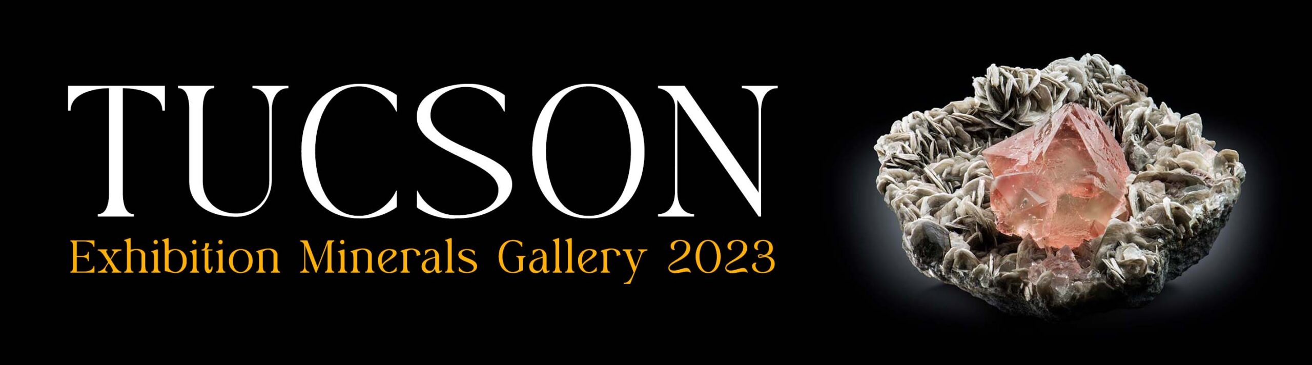 The TUCSON Exhibition Minerals Gallery 2023 Banner 1