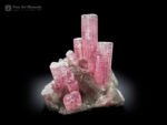 Pink Tourmaline Cluster on Quartz from Afghanistan