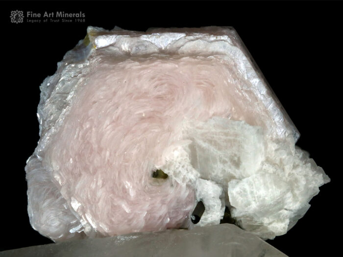 Lepidolite flower on Quartz from Pakistan