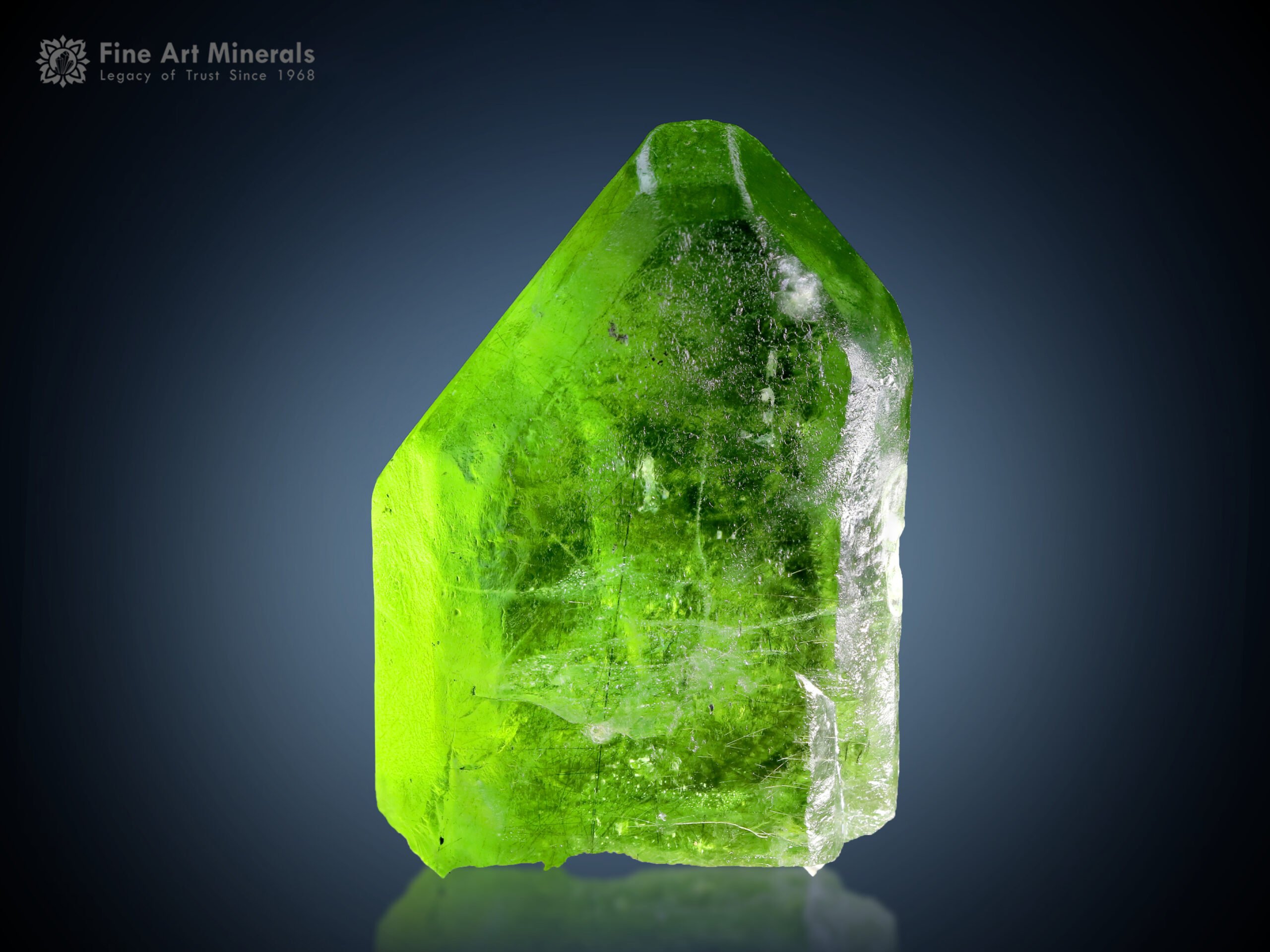 Peridot with Ludwigite Inclusion from Pakistan