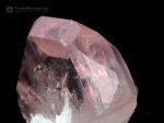 Floater Morganite with Albite