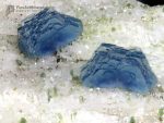 Alkali & Caesium-rich Blue Beryl Flowers on Matrix