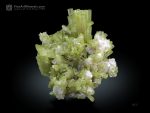 Green Tourmaline Cluster with Muscovite and Albite