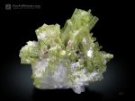 Green Tourmaline Cluster with Muscovite and Albite