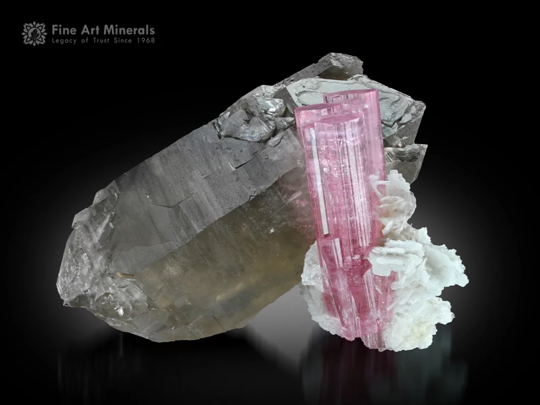 Vibrant pink tourmaline crystal with snowy white albite on double-terminated smoky quartz specimen.