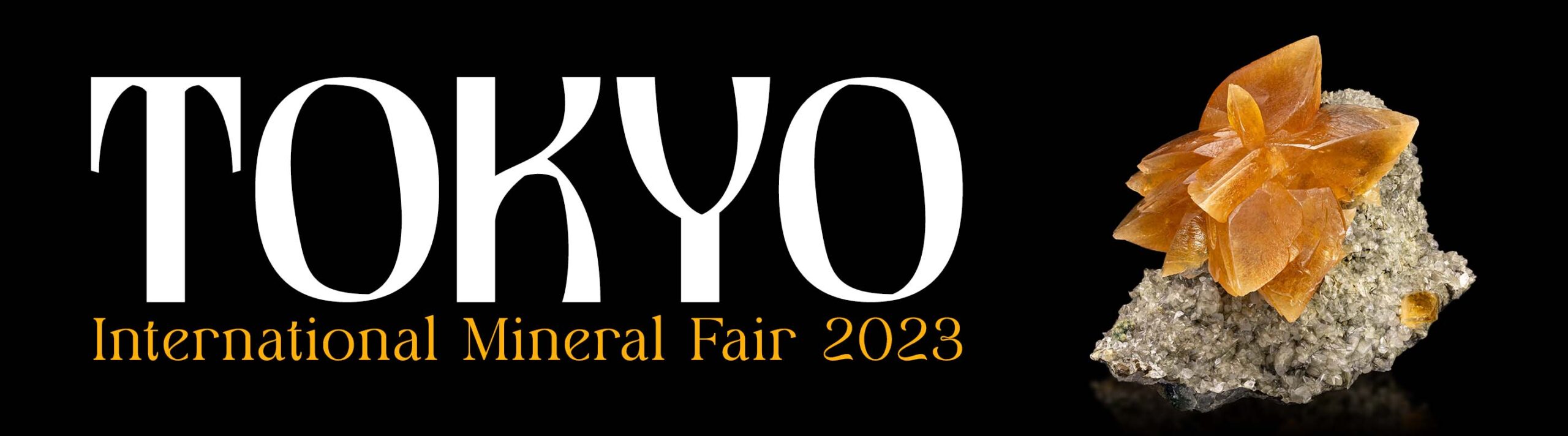 Tokyo International Mineral Fair 2023 Banner 2