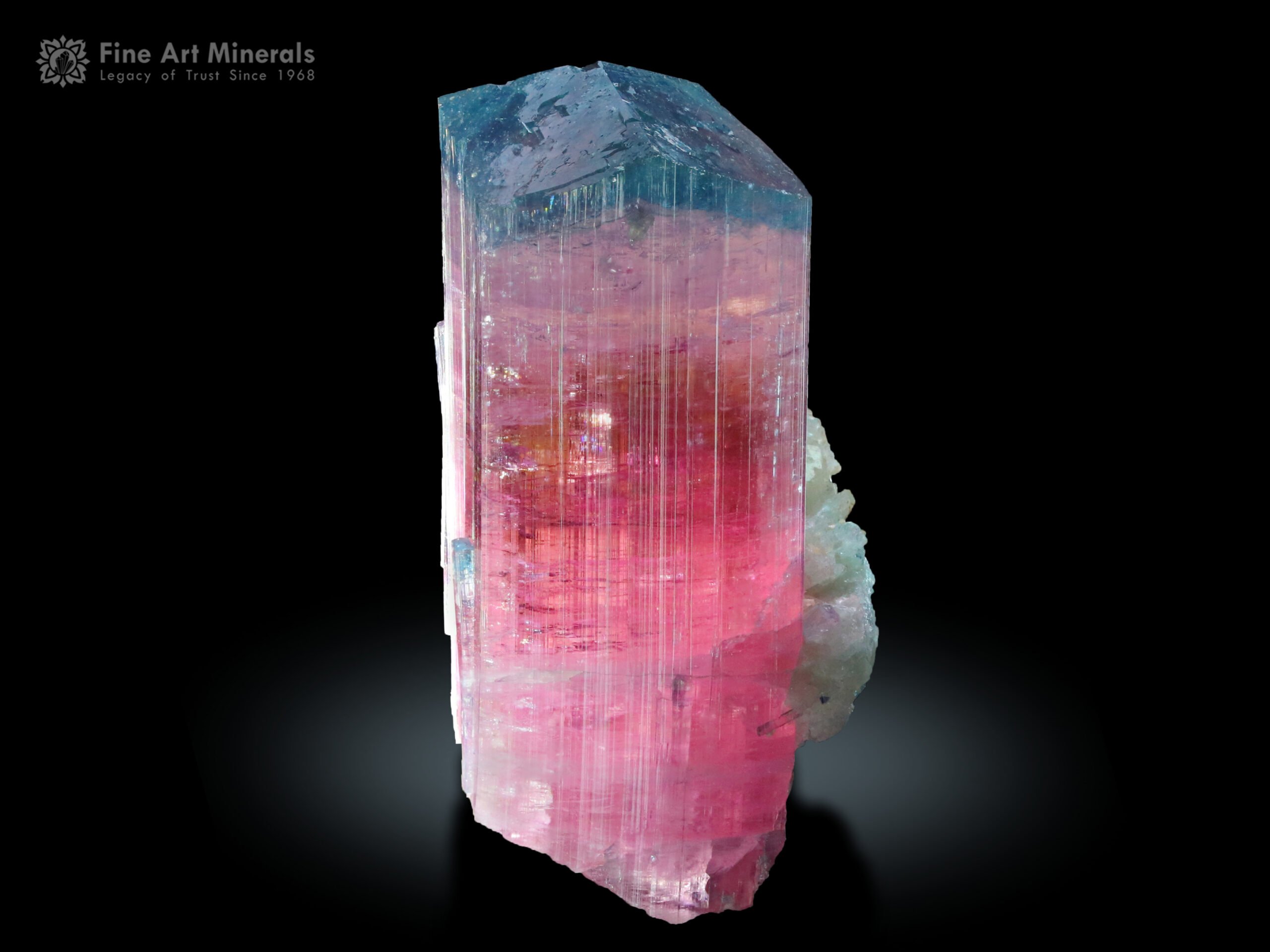 Blue Cap Pink Tourmaline with Albite from Afghanistan