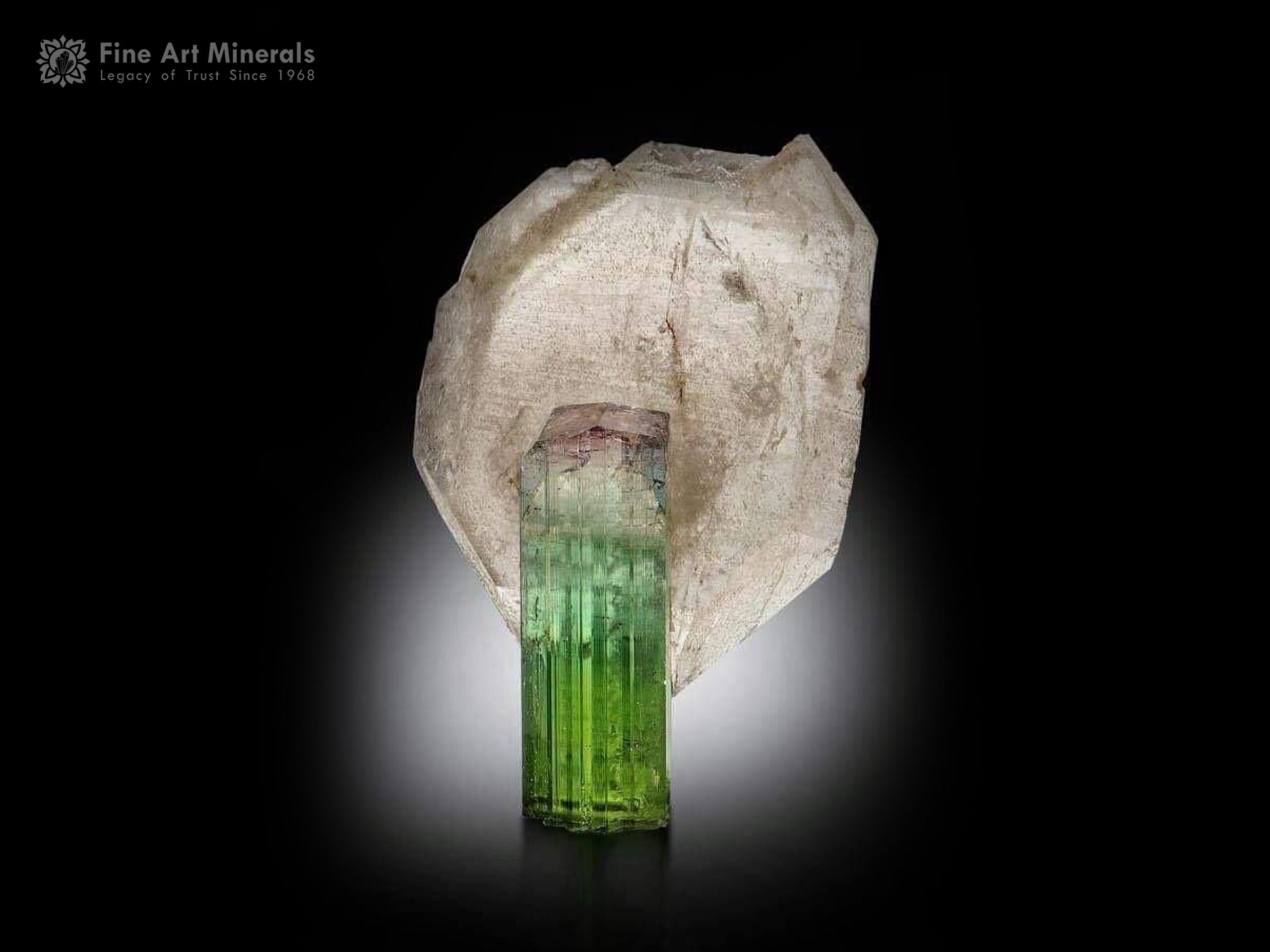 Tourmaline with Quartz from Paprok Afghanistan