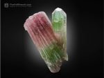 Parti-coloured Tourmaline from Afghanistan