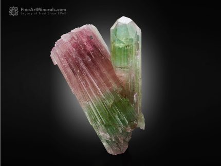 Parti-coloured Tourmaline from Paprok Afghanistan