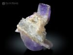 Purple Apatite Cluster on Kunzite from Afghanistan