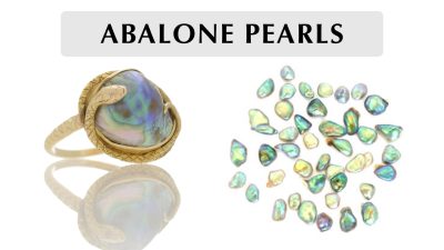 Abalone Pearls Rare Treasures of the Sea