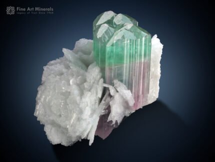 Bi Colour Tourmaline on Cleavelandite from Afghanistan