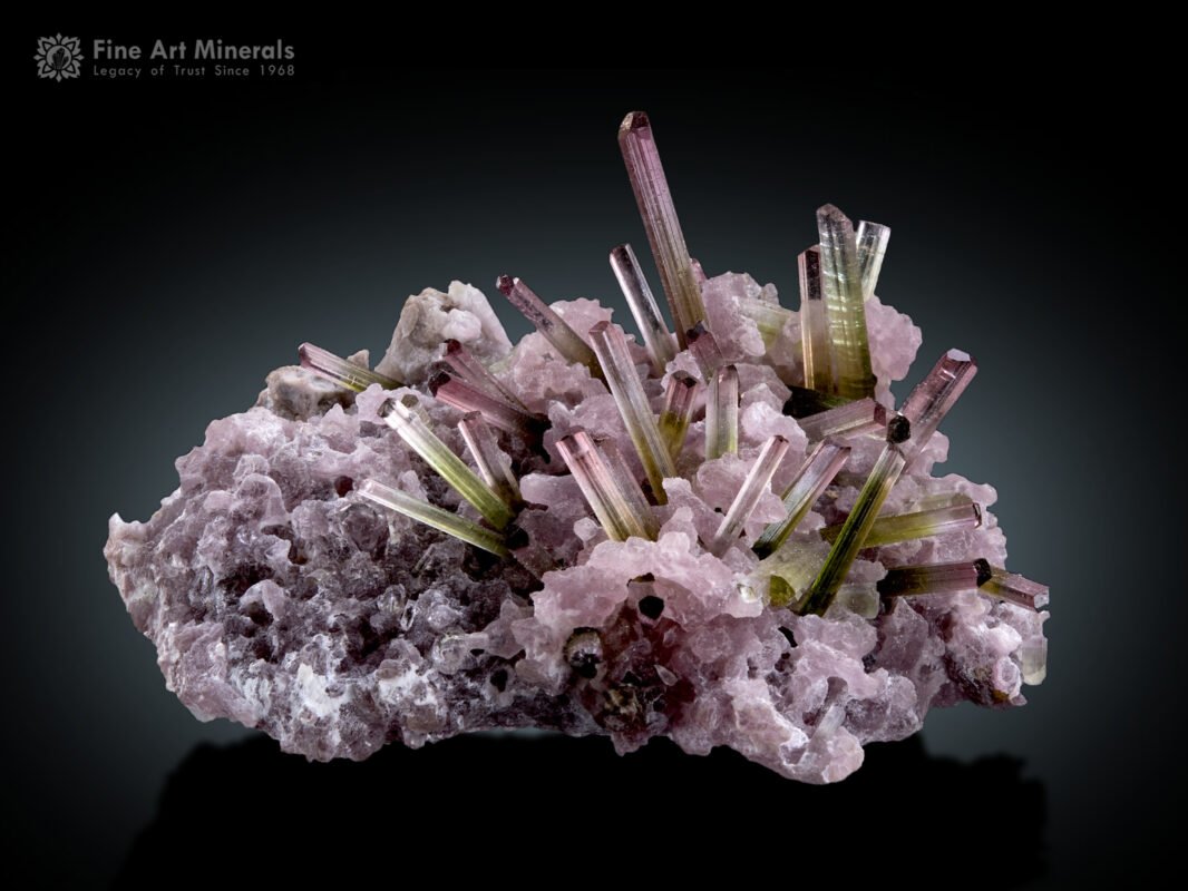 Bi Colour Tourmaline Cluster on Lepidolite from Afghanistan