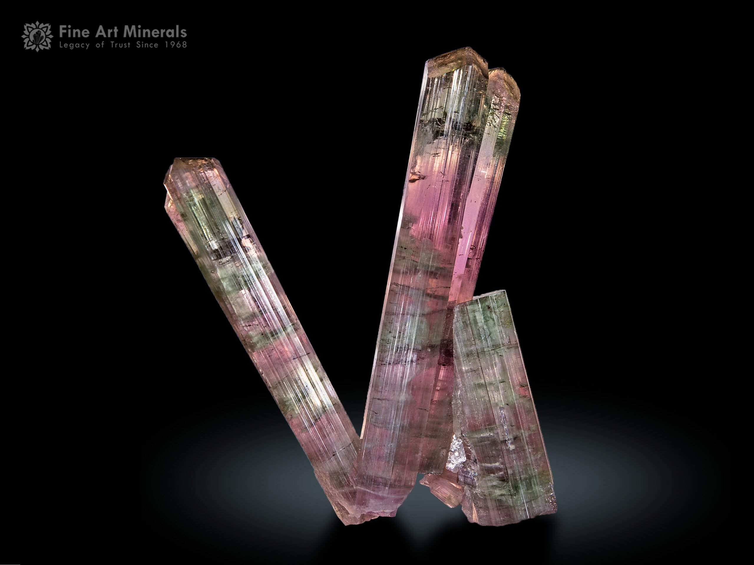 Tourmaline Cluster from Brazil