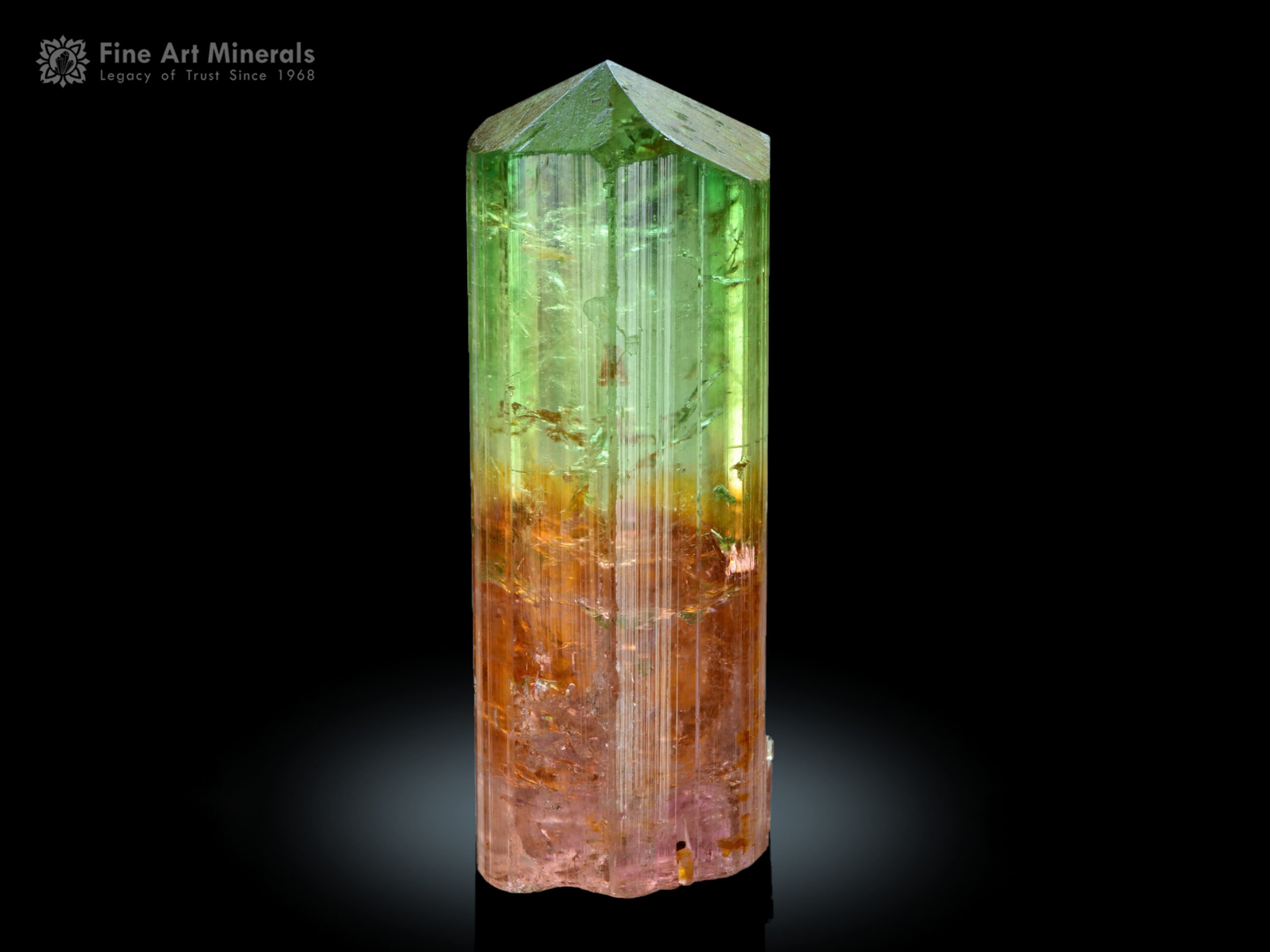 Bi Colour Tourmaline Crystal from Congo