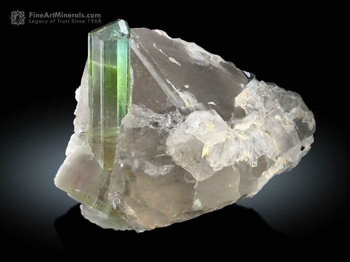Tourmaline Crystal with Quartz
