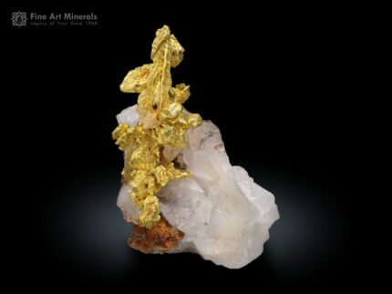 Superb Gold grown on Quartz from USA