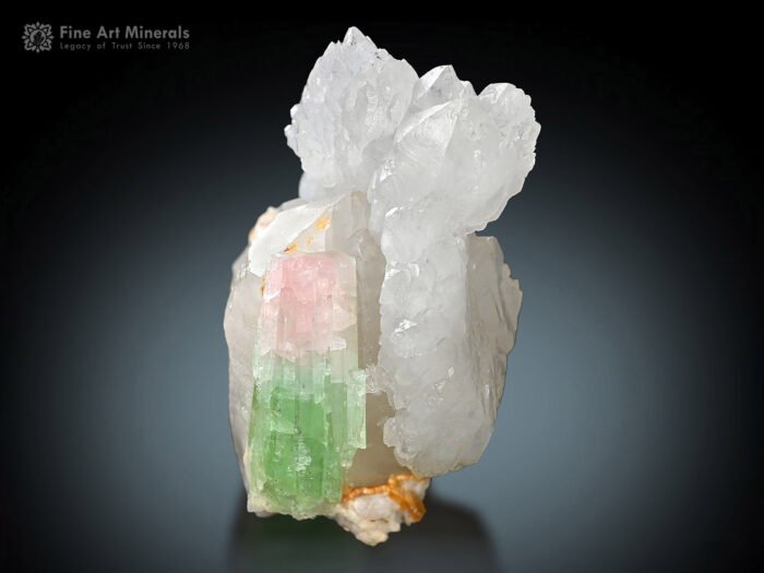 Bi Color Tourmaline with Quartz from Afghanistan