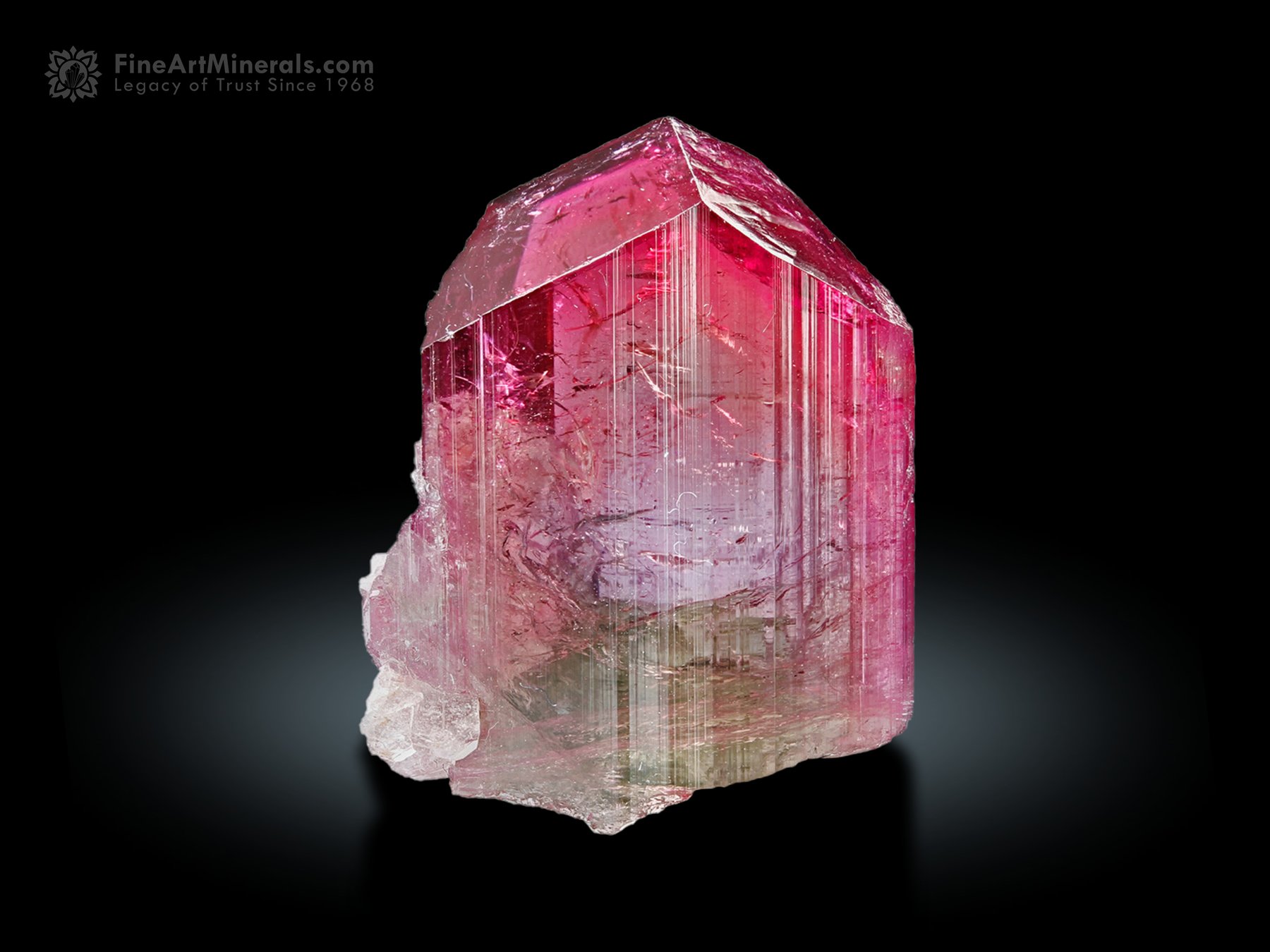 Liddicoatite Tourmaline Crystal