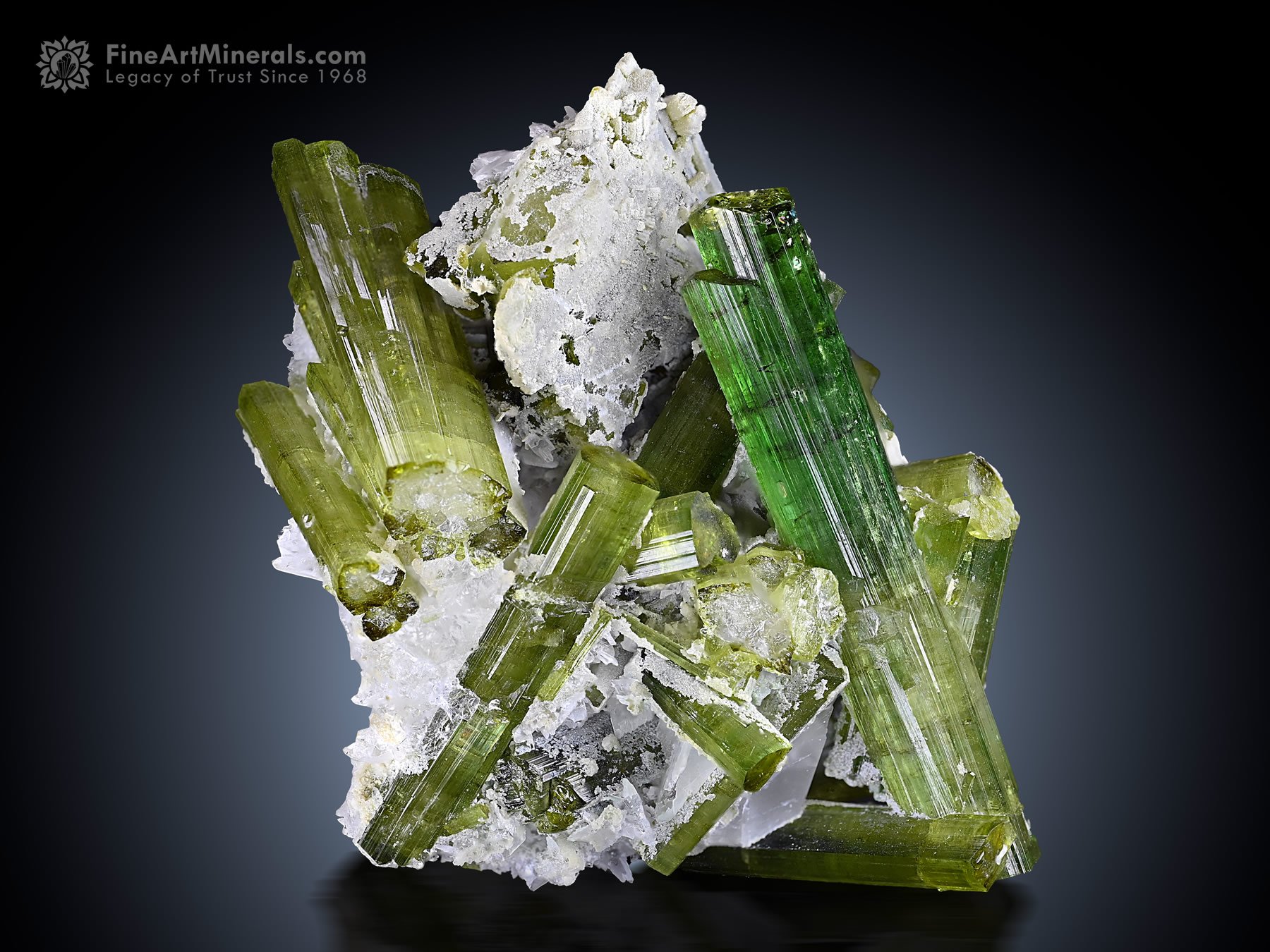 Tourmaline Cluster with Albite