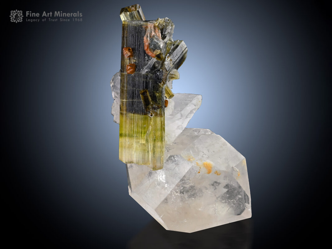 Bi-color tourmaline crystal with orange-brown microlite and sharp hambergite crystals on clear quartz matrix from Stak Nala, Pakistan.
