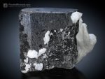 Mangano Columbite Crystal on Albite Matrix from Kunar Afghanistan