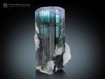 Tourmaline Crystal from Nuristan Afghanistan