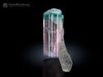 Double terminated bi colour Tourmaline with Quartz from Afghanistan