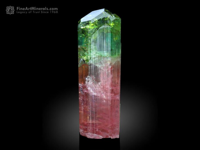 Bi Color Tourmaline Crystal from DR Congo