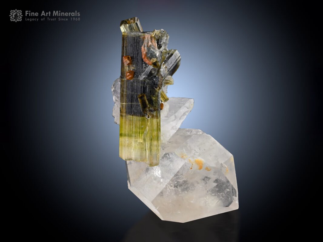 Tourmaline with Microlite and Hambergite on Quartz from Pakistan