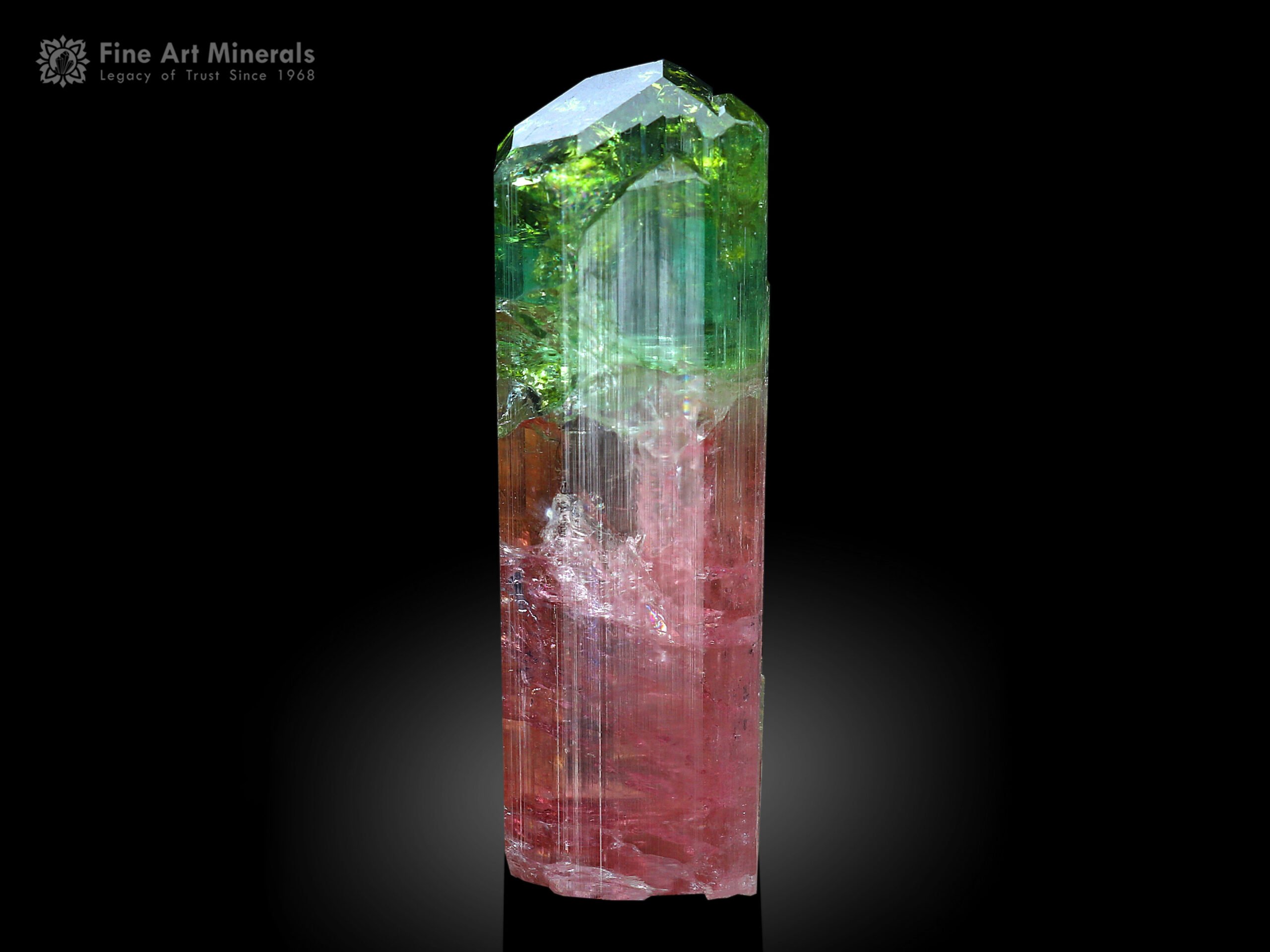 Bi Color Tourmaline Crystal from Congo