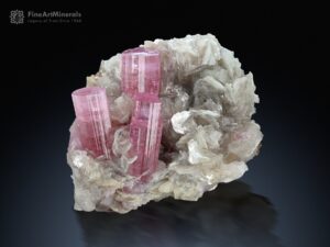 Amas de cristaux de tourmaline rose sur matrice provenant de Paproke Afghanistan (15,8 g) - France