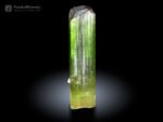 Stunning Tourmaline Crystal from Paprok Afghanistan