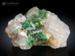 Emerald Cluster with Quartz from Panjsher Afghanistan
