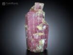 Pink Tourmaline with Muscovite from Nuristan Afghanistan