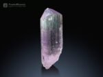 Spodumene var. Kunzite Crystal from Kunar Afghanistan