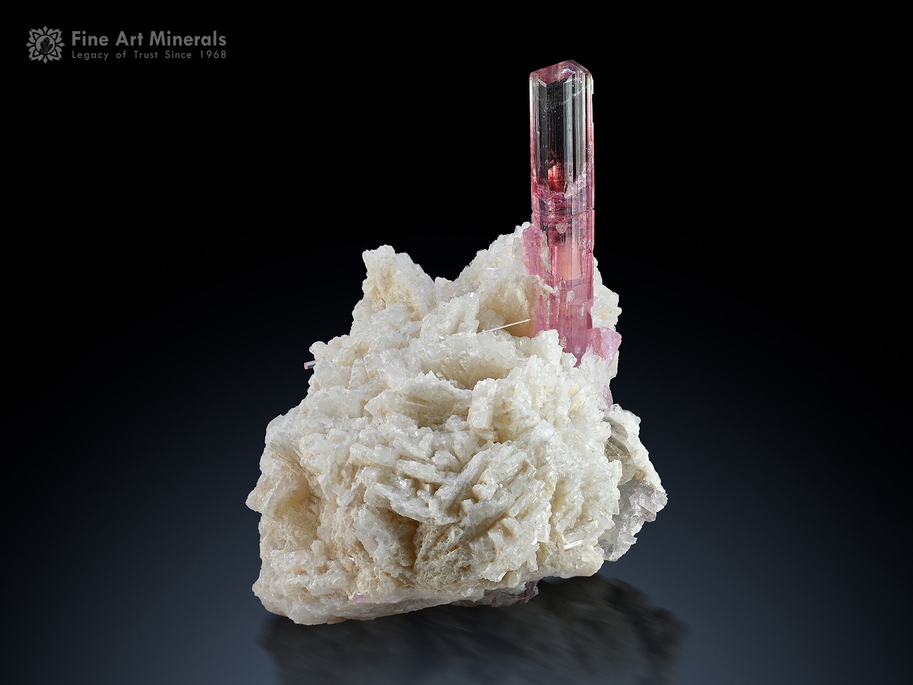 Tourmaline with Cleavelandite from Paprok Afghanistan