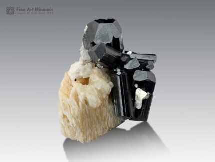 Schorl Cluster on Feldspar from Shigar Pakistan