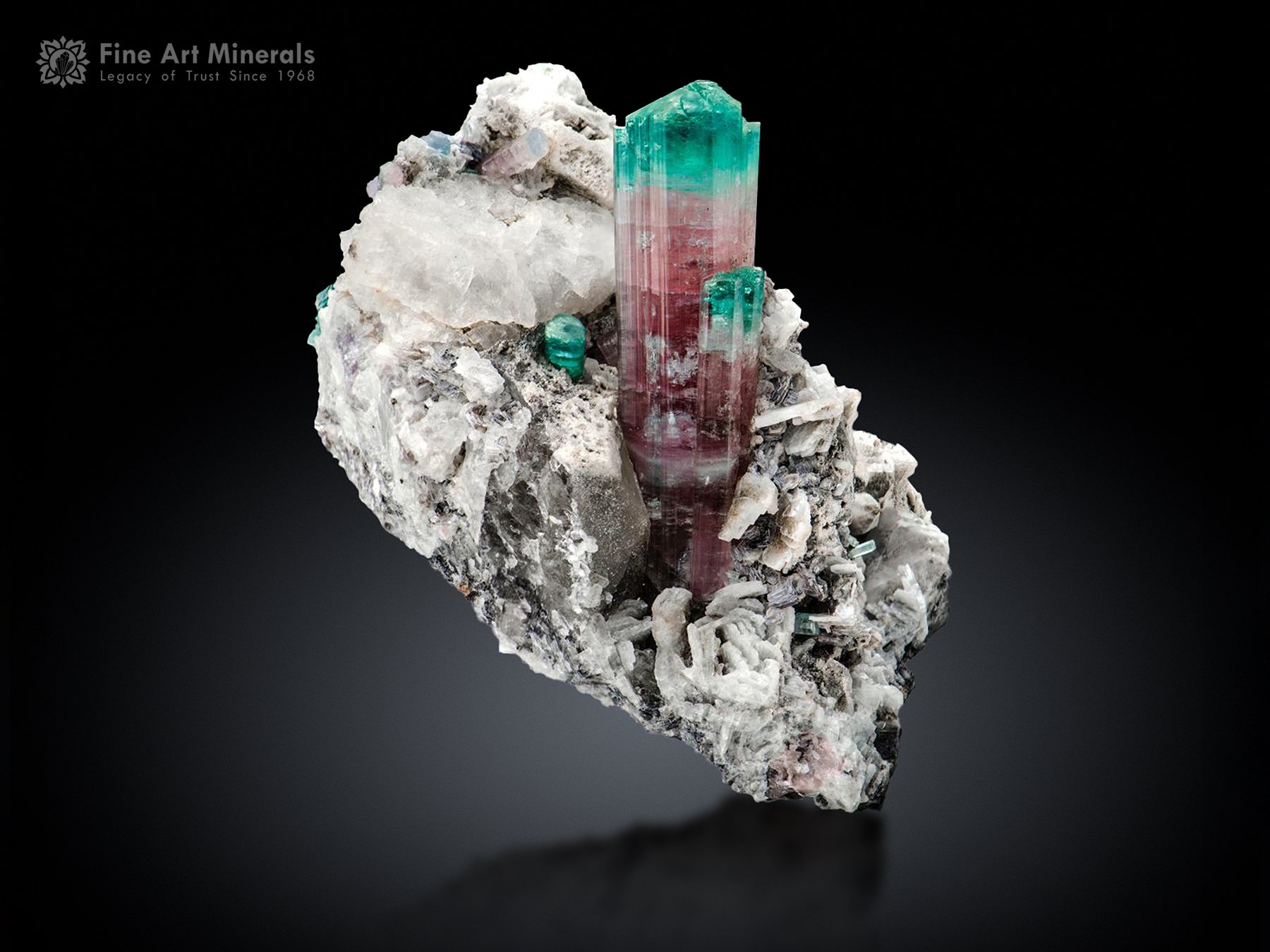 Tourmaline on Matrix from Laghman Afghanistan