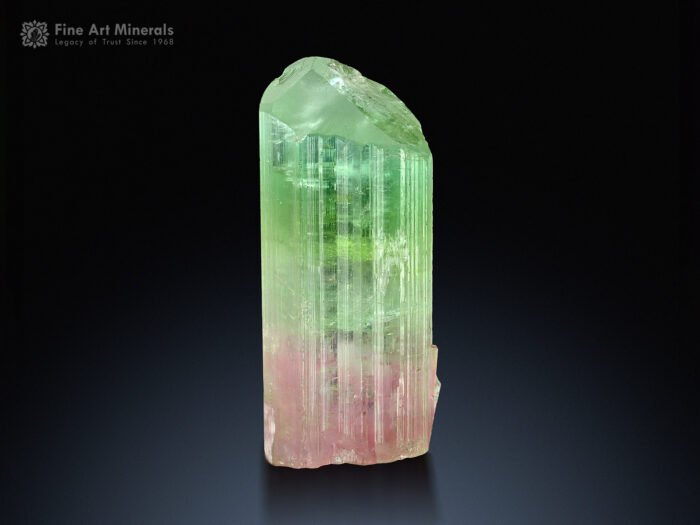 Bi Color Tourmaline Crystal from Paprok Afghanistan
