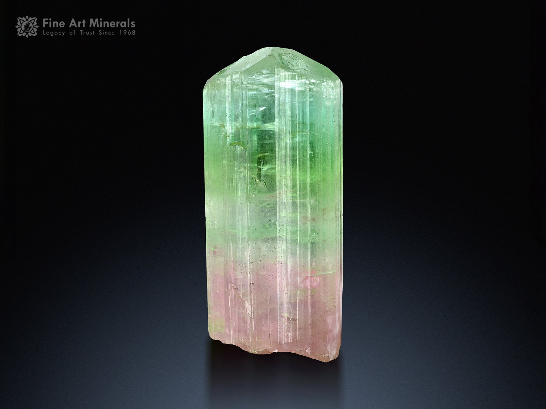 Bi Color Tourmaline Crystal from Paprok Afghanistan