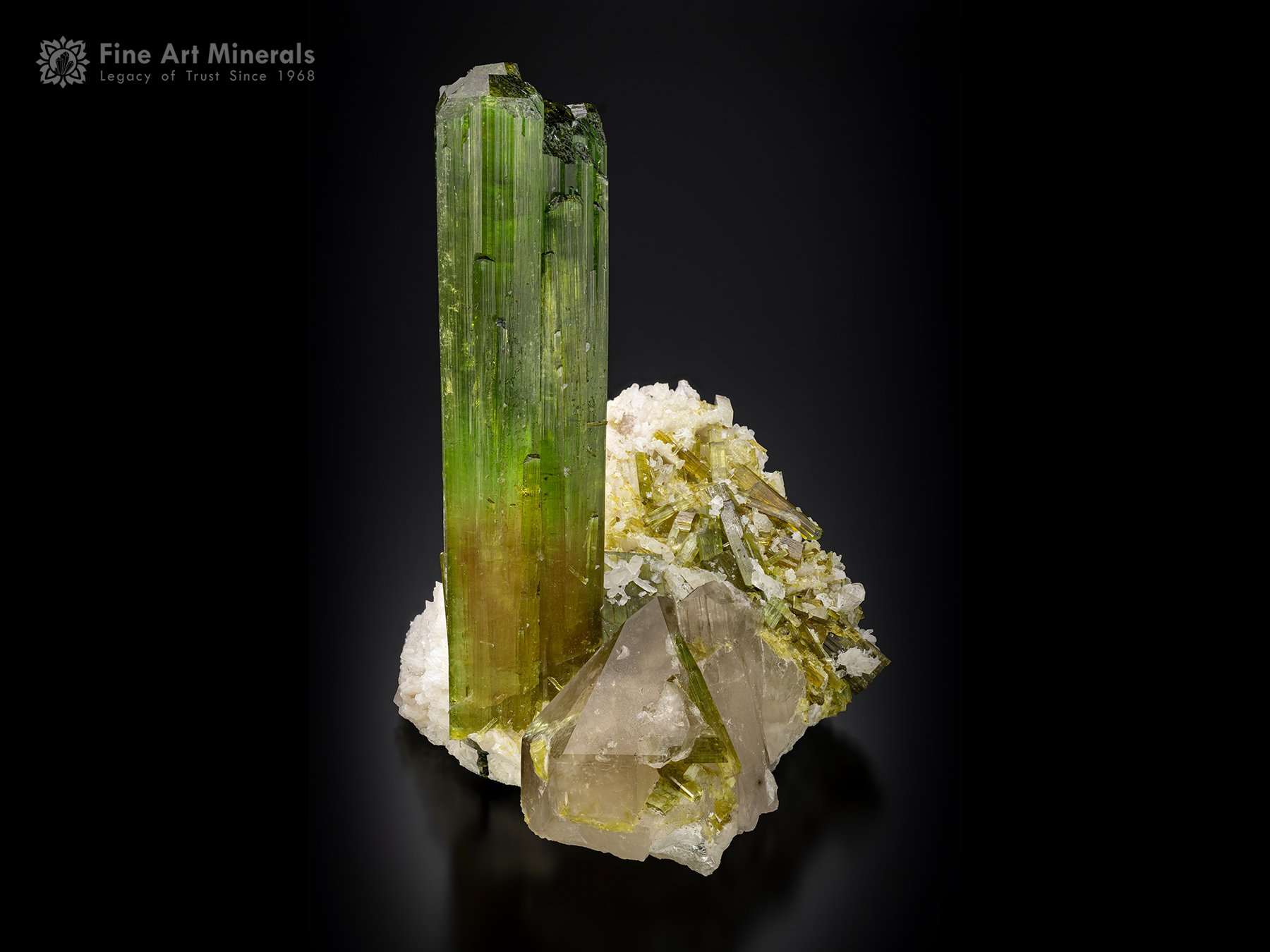 Tourmaline with Quartz and Cleavelandite from Afghanistan