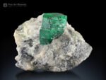 Emerald on Matrix from Pakistan