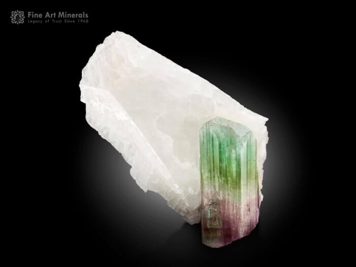Tourmaline on Pollucite from Afghanistan
